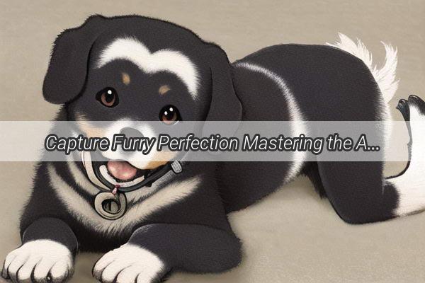 Capture Furry Perfection Mastering the Art of Clear and Captivating Dog Photography